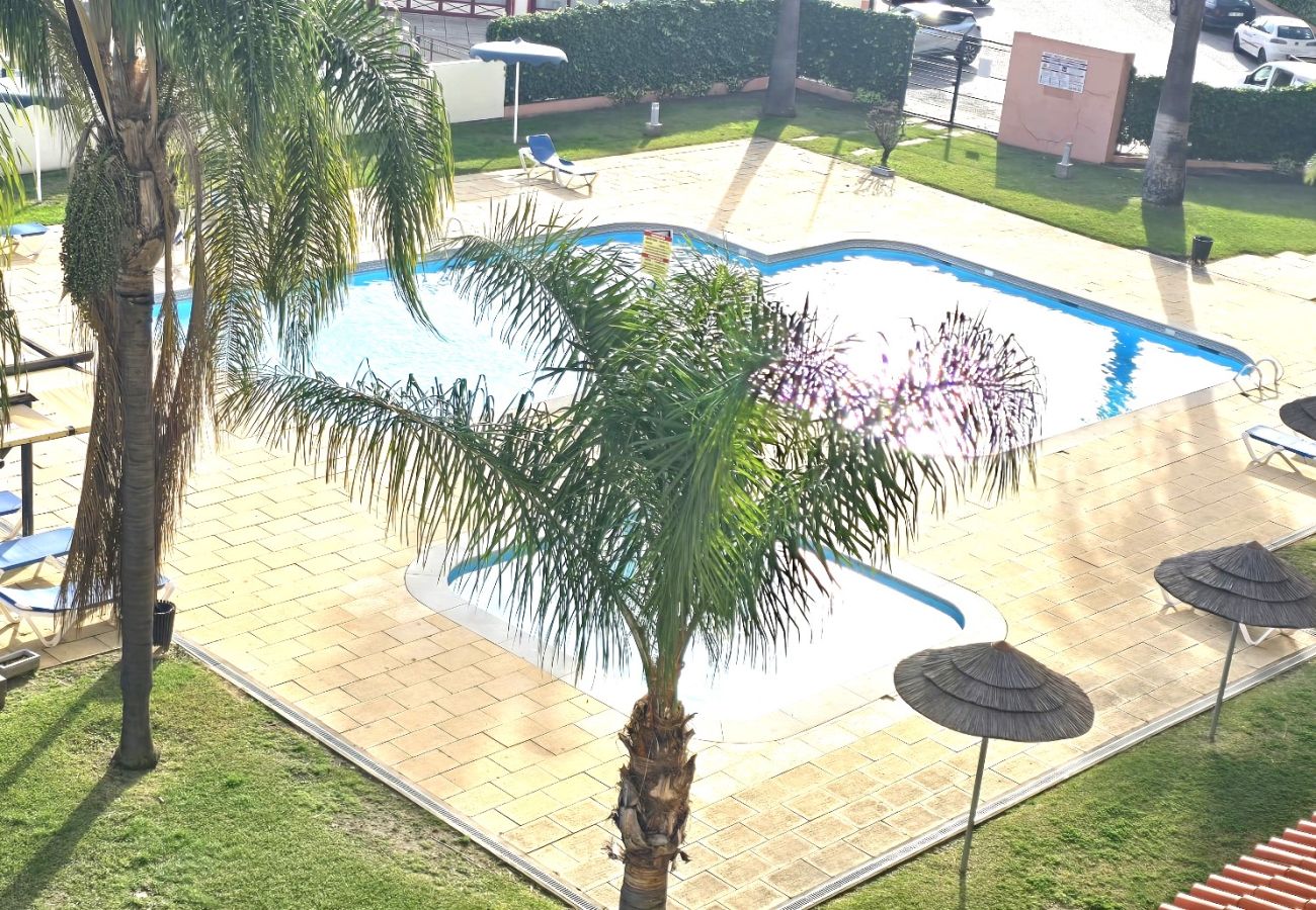 Ferienwohnung in Albufeira - Center View