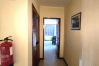 Ferienwohnung in Albufeira - Center View Ferienwohnung in Albufeira - Center View