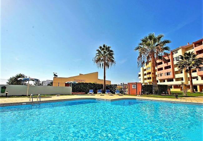 Apartamento en Albufeira - Belavista Center / Albufeira Apartamento en Albufeira - Belavista Center / Albufeira