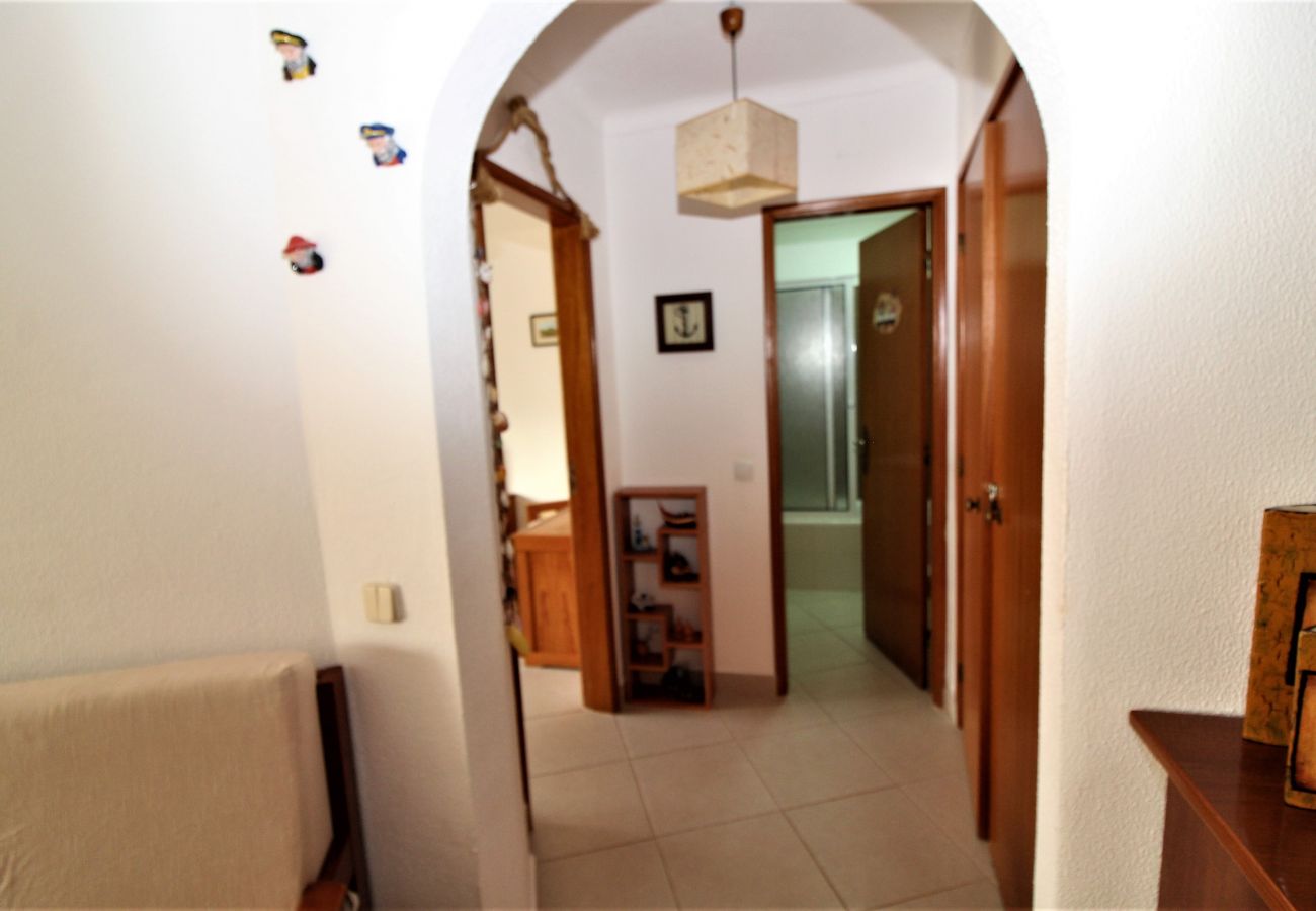 Apartamento em Albufeira - Sweet Home  / Albufeira