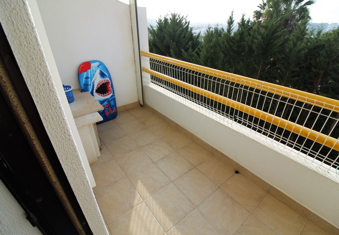 Apartamento em Albufeira - Sweet Home  / Albufeira