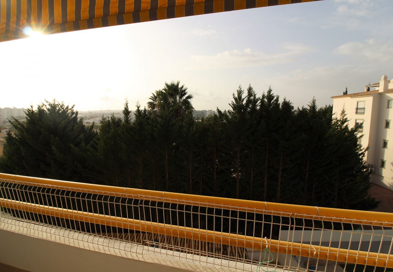 Apartamento em Albufeira - Sweet Home  / Albufeira