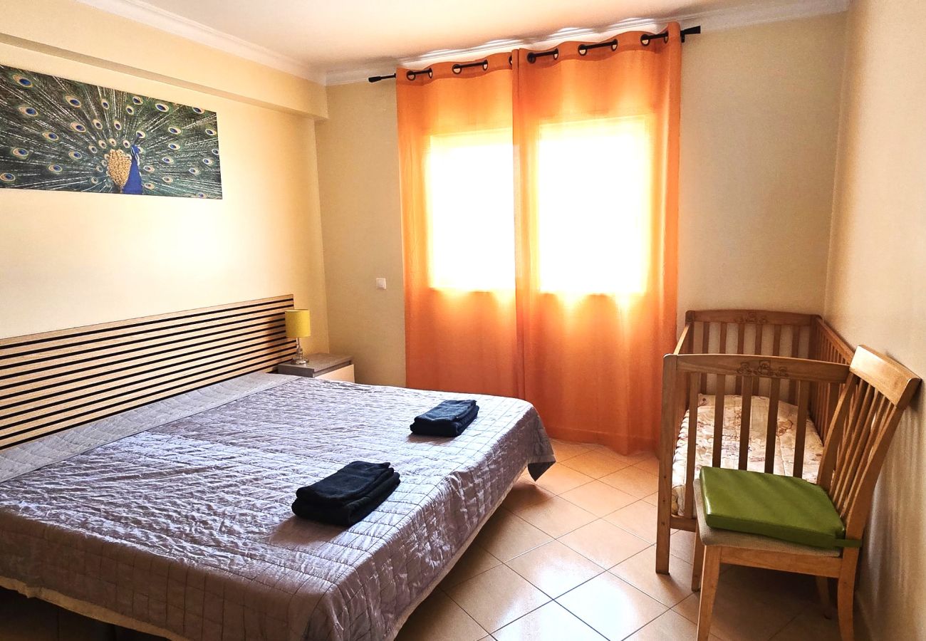 Apartamento em Albufeira - Holidays - Albufeira