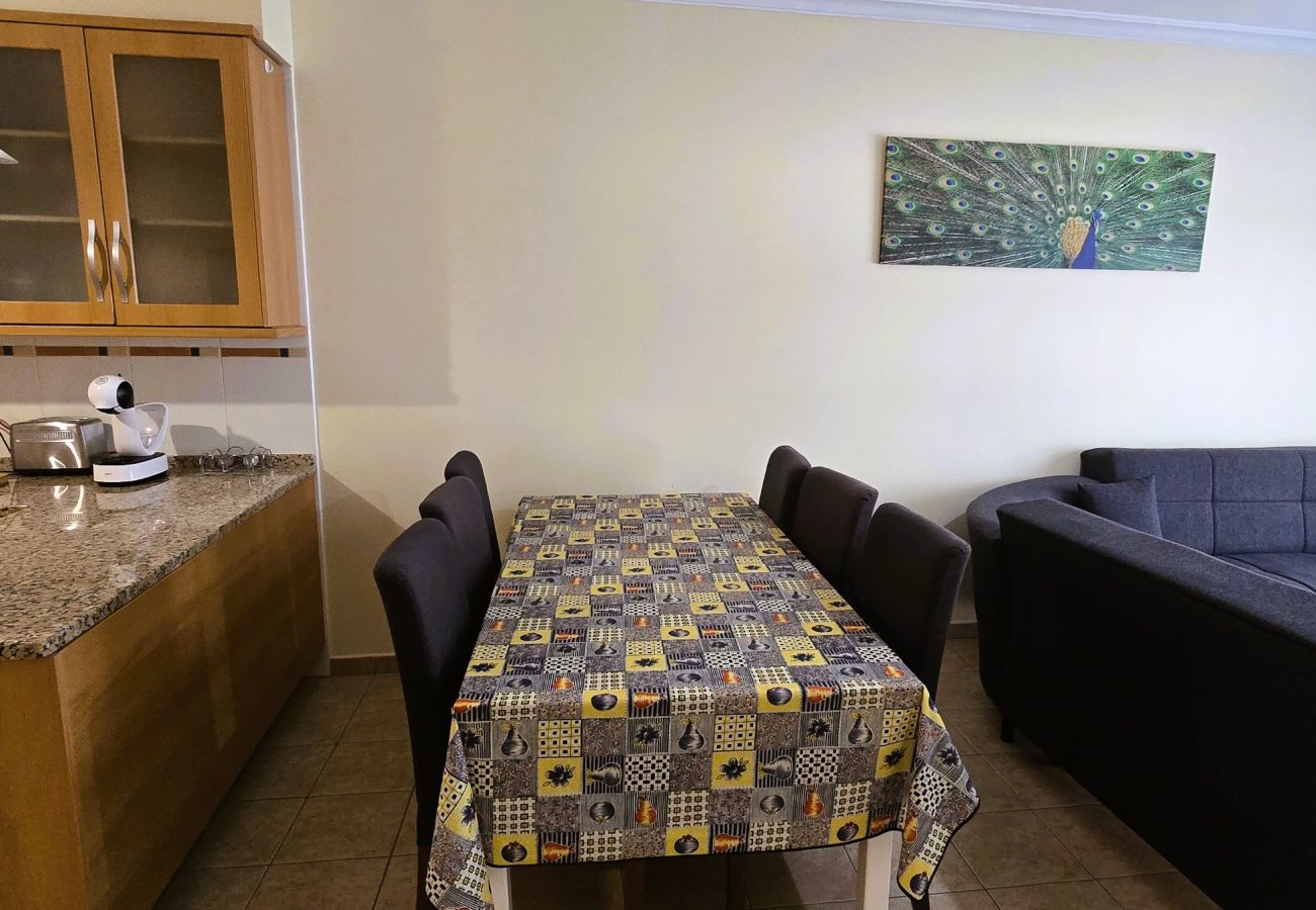 Apartment in Albufeira - Open Space  / Albufeira