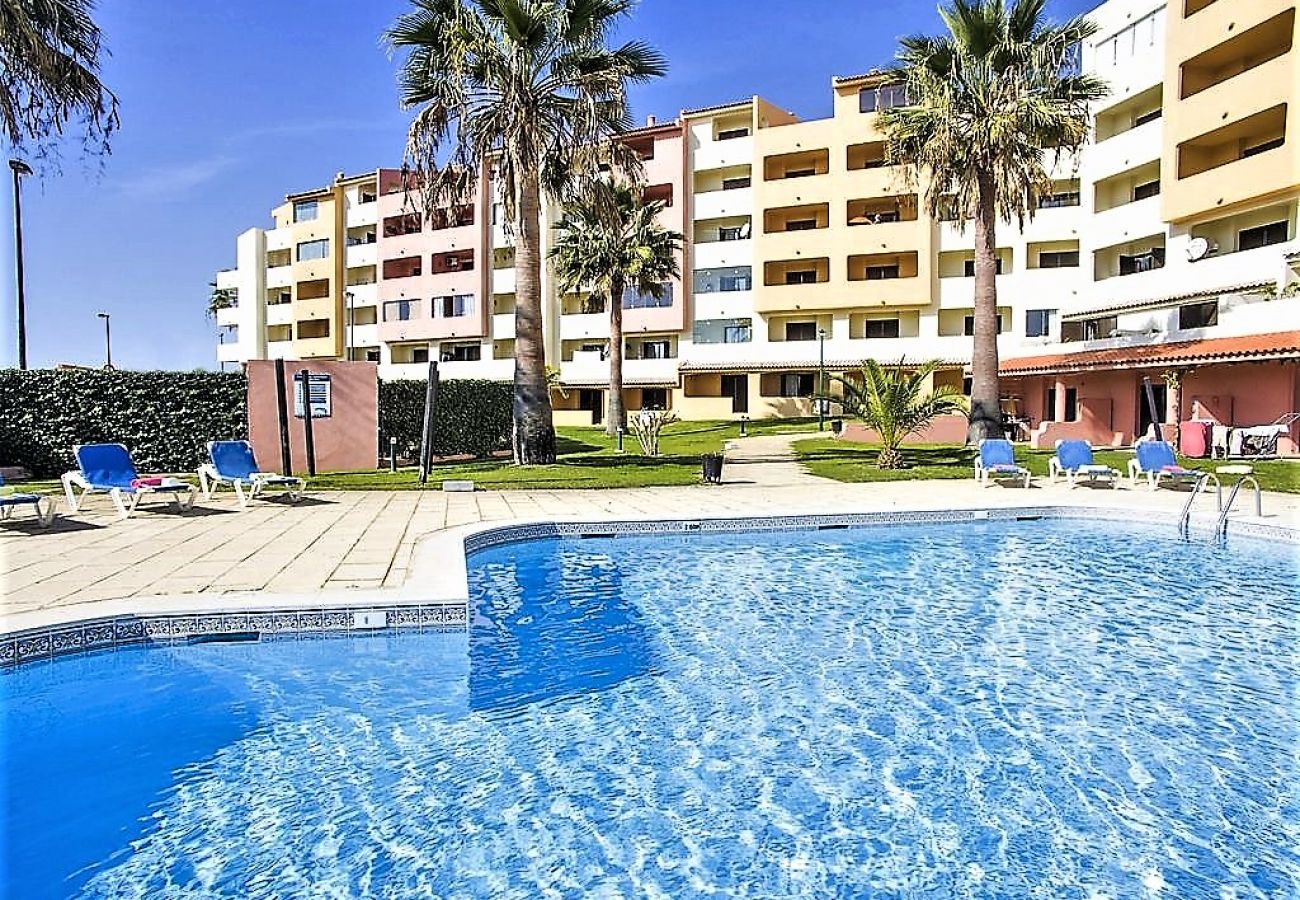 Apartment in Albufeira - Belavista Center / Albufeira