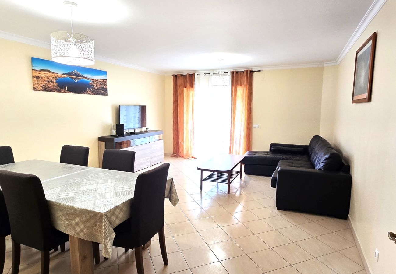 Apartment in Albufeira - Holidays - Albufeira