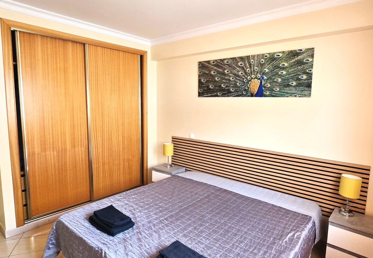 Apartment in Albufeira - Holidays - Albufeira