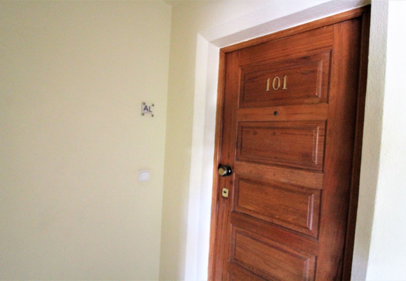 Apartment in Albufeira - Center City  / Albufeira