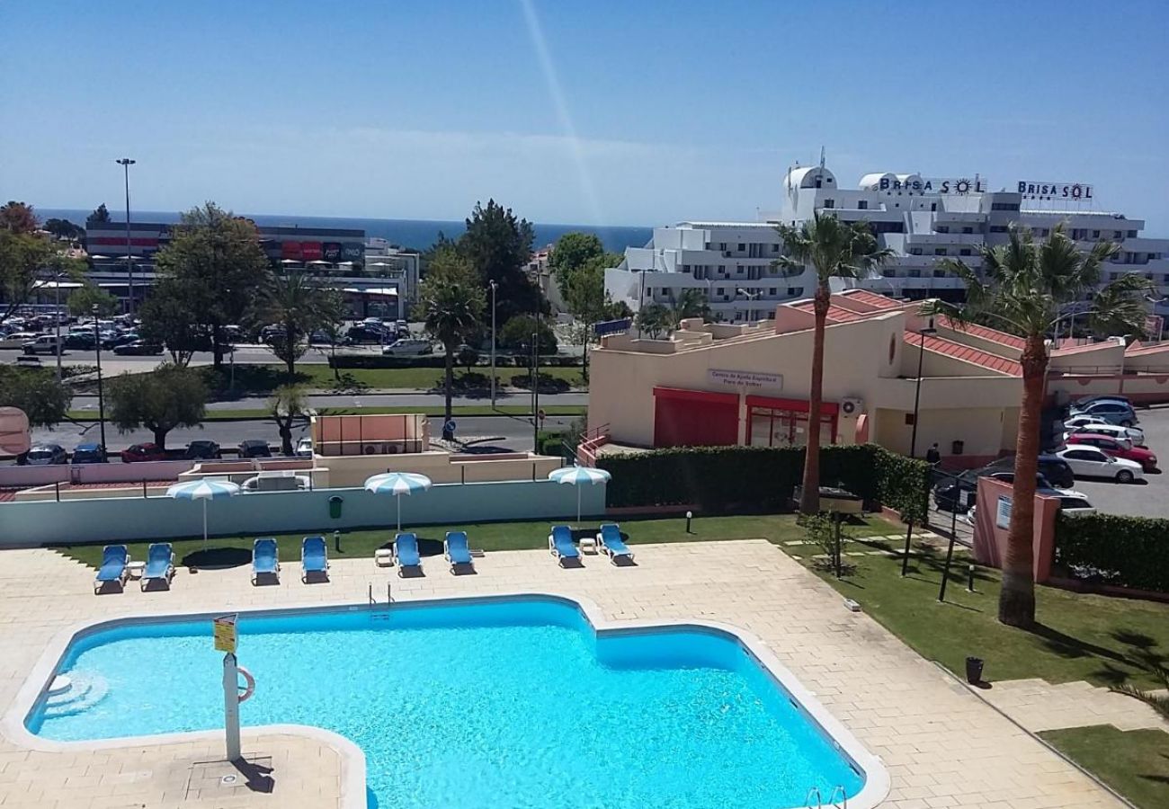 Apartment in Albufeira - Center City  / Albufeira